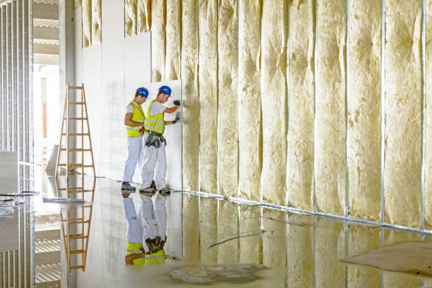 Best Residential Insulation in Georgetown, GA